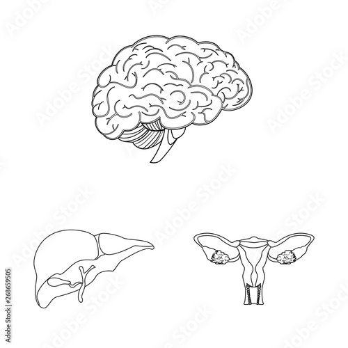 Vector design of body and human symbol. Set of body and medical stock symbol for web.