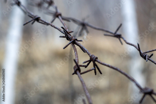 barbed wire on a background of blue sky