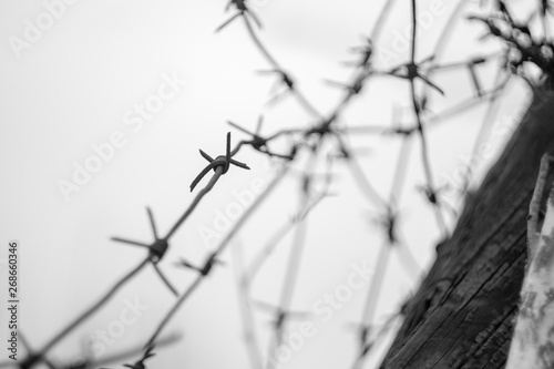 barbed wire on a background of blue sky