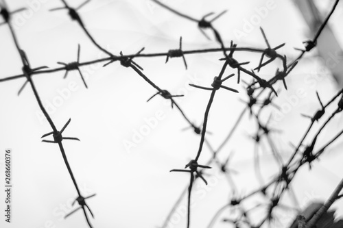 barbed wire on a background of blue sky