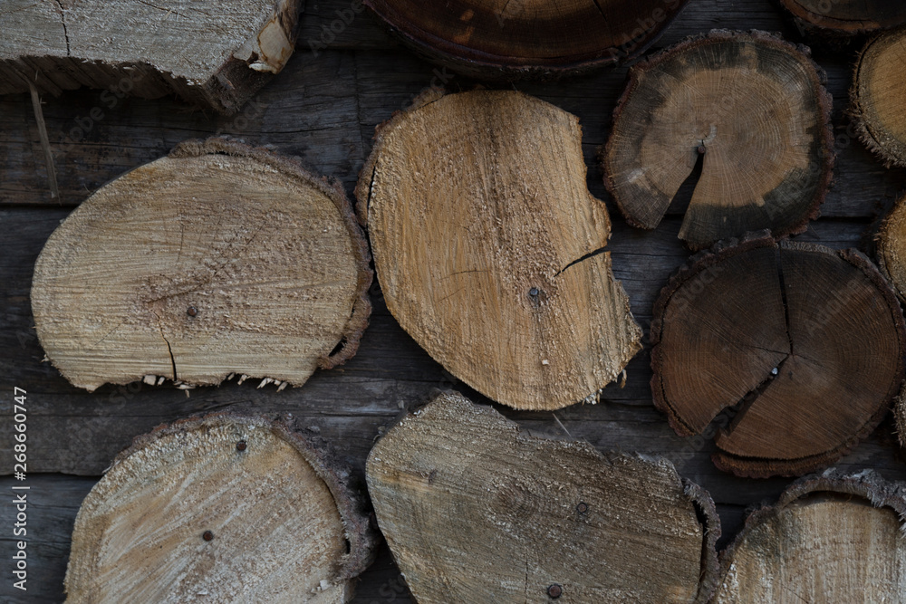 timbers and log in the workshop for concept. timbers and log in the workshop for concept.