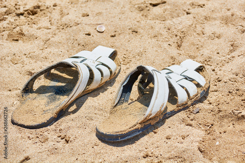 Male slaps lie on sandy shore sea.