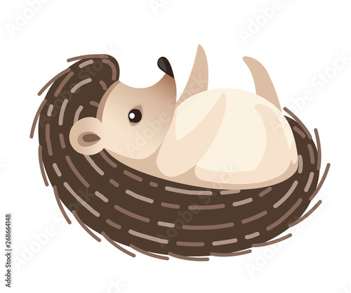 Adorable hedgehog, forest animal. Spiny mammal. Hedgehog lying on the back. Cute cartoon animal design. Flat vector illustration isolated on white background. Side view Hedgehog