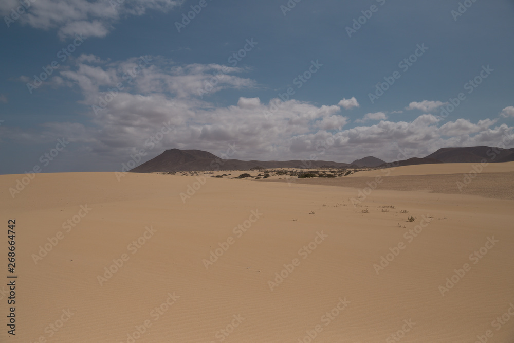 sand dunes 