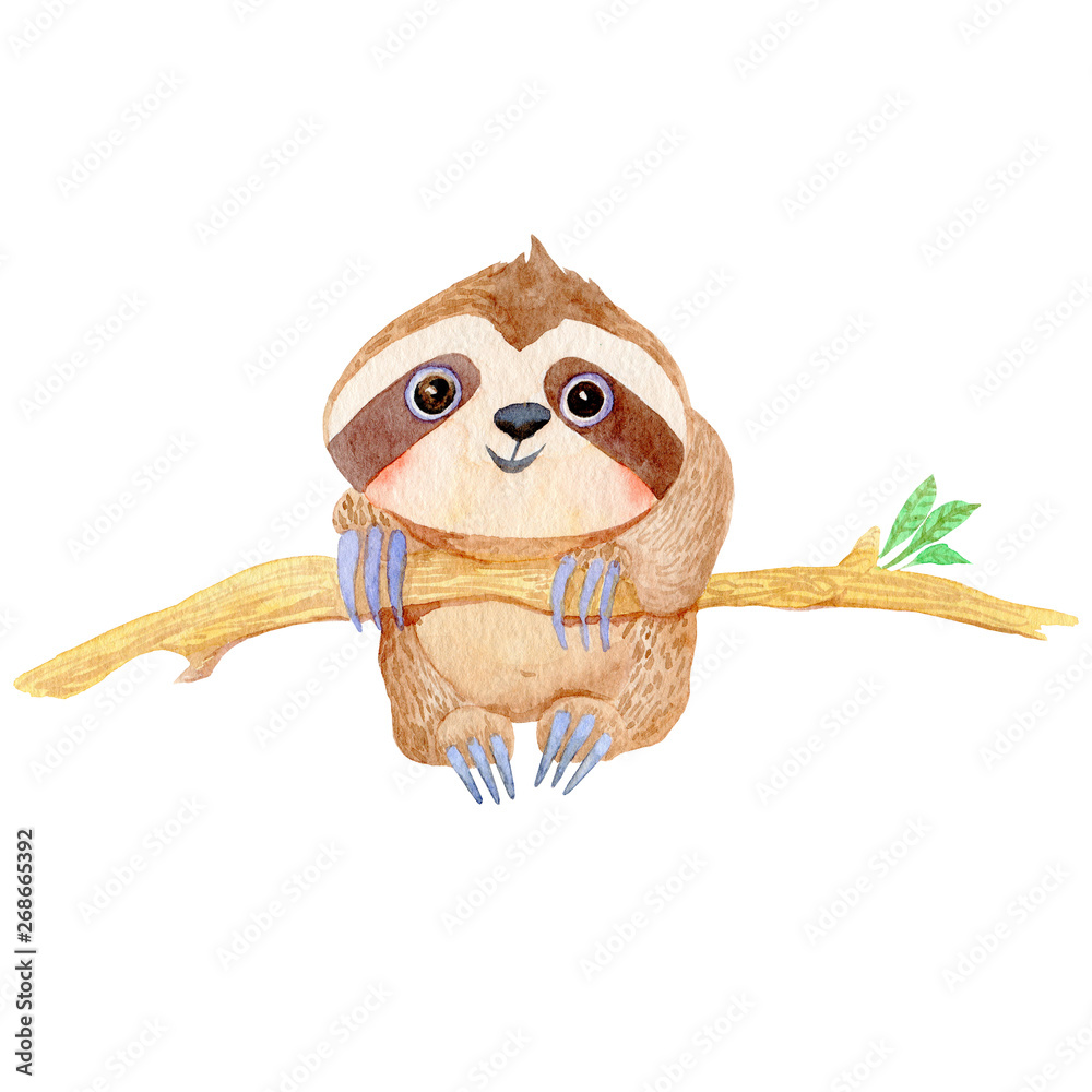 sloths and leaves sloths and leaves