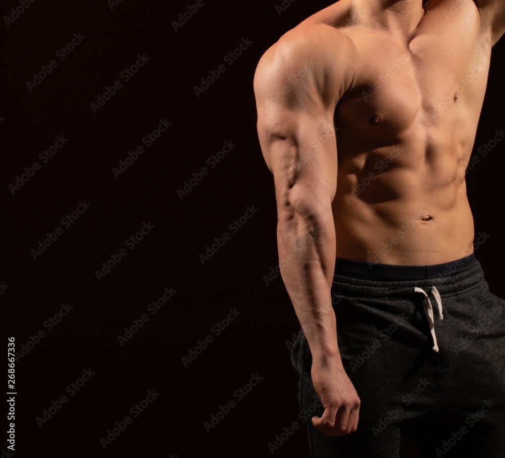 Torso Torso