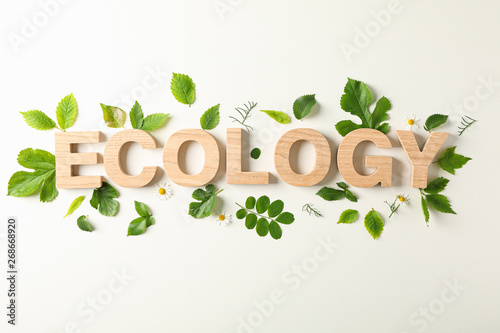 Inscription ecology and greenery on light background, space for text. Environmental protection. Agriculture