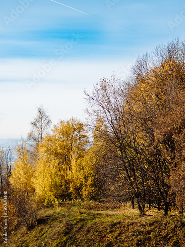 Autumn park. Beautiful romantic alley in park with colorful trees and blue sky. Autumn natural background. Falling foliage, fall trail landscape, vertical. Copy space for text