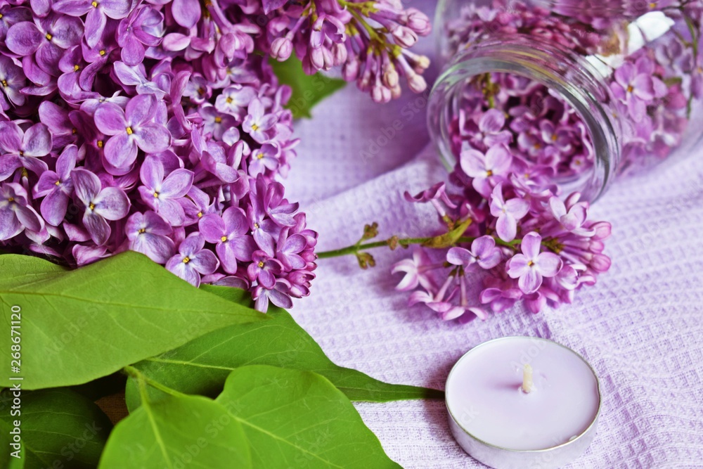 Lilac flowers in a jar on the table.Preparation of tincture of lilac to strengthen the immune system and improve the body. Lilac flowers in a jar on the table.Preparation of tincture of lilac to strengthen the immune system and improve the body.