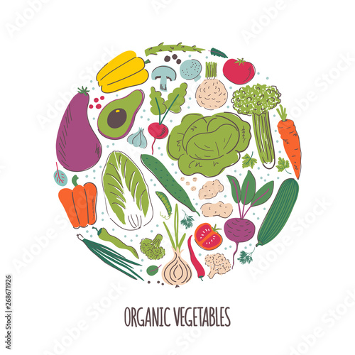 Organic vegetables hand drawn color vector illustration
