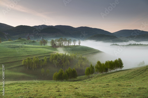 Spring sunrise at the forest edge, in Transylvania 