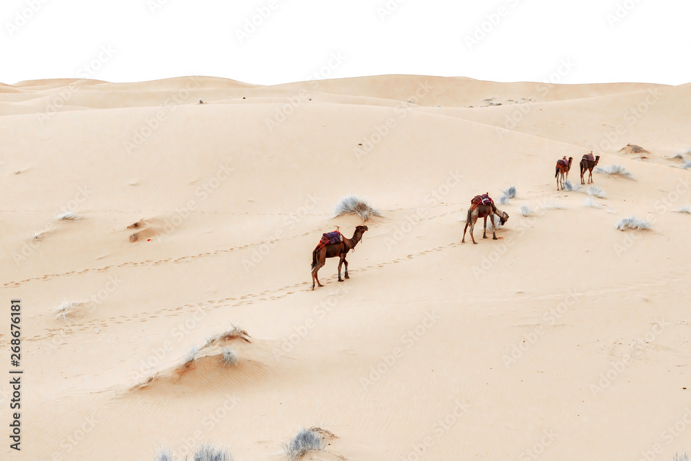 Caravan going through the sand dunes in the Sahara Desert