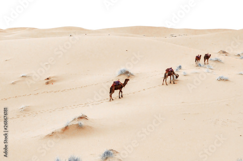 Caravan going through the sand dunes in the Sahara Desert