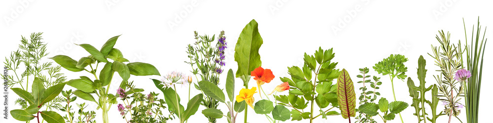 Large selection of fresh herbs - obrazy, fototapety, plakaty 