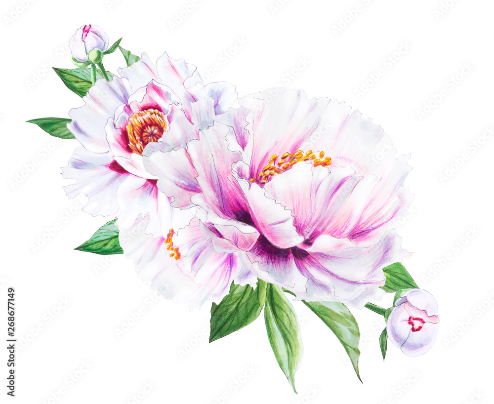 Beautiful white peony. Bouquet of flowers. Floral print. Marker drawing. Watercolor painting. Wedding and birthday composition. Greeting card. Flower painted background. Hand drawn illustration.