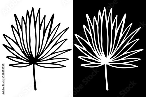 palm leaf herb floral hand drawn sketch black and white doodle
