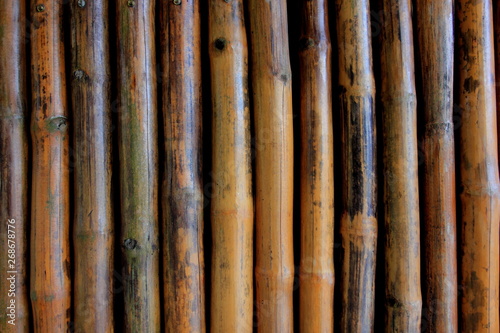 Old bamboo placed for the background.
