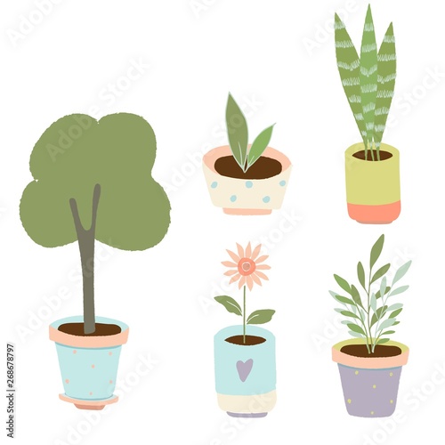 Gardening home plants in ceramic pots