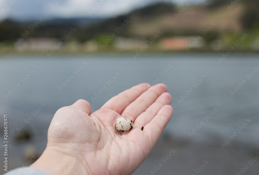 Obraz premium A woman is holding a shell