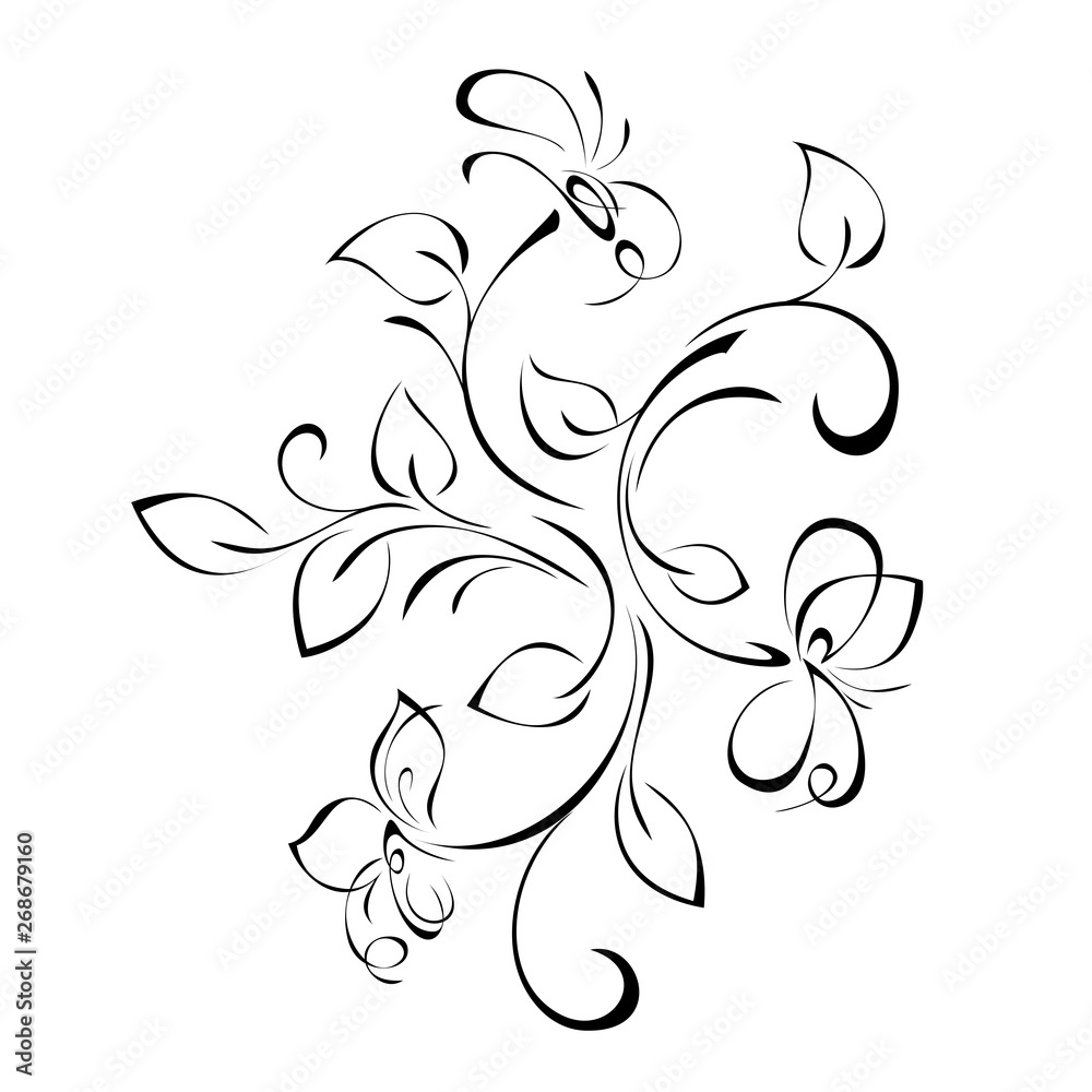 decorative floral ornament with flowers and leaves in black lines on white background