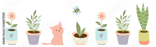 Gardening home plants in ceramic pots