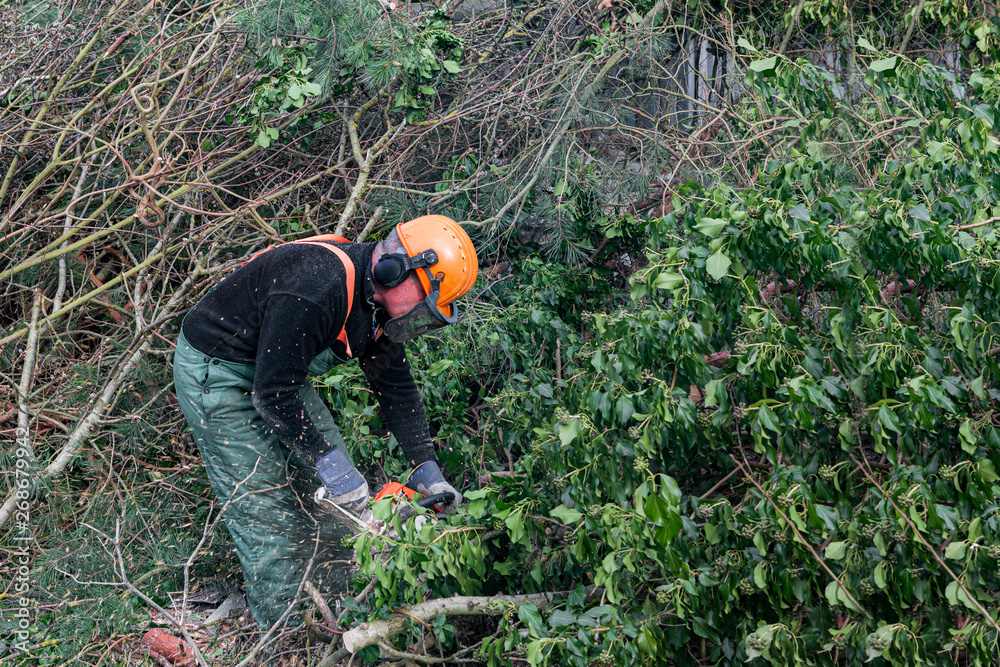 Mann sägt Bäume nach Unwetter umgestürzte Bäume