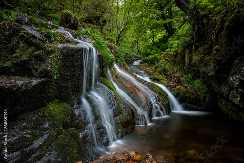 waterfall and green plants
