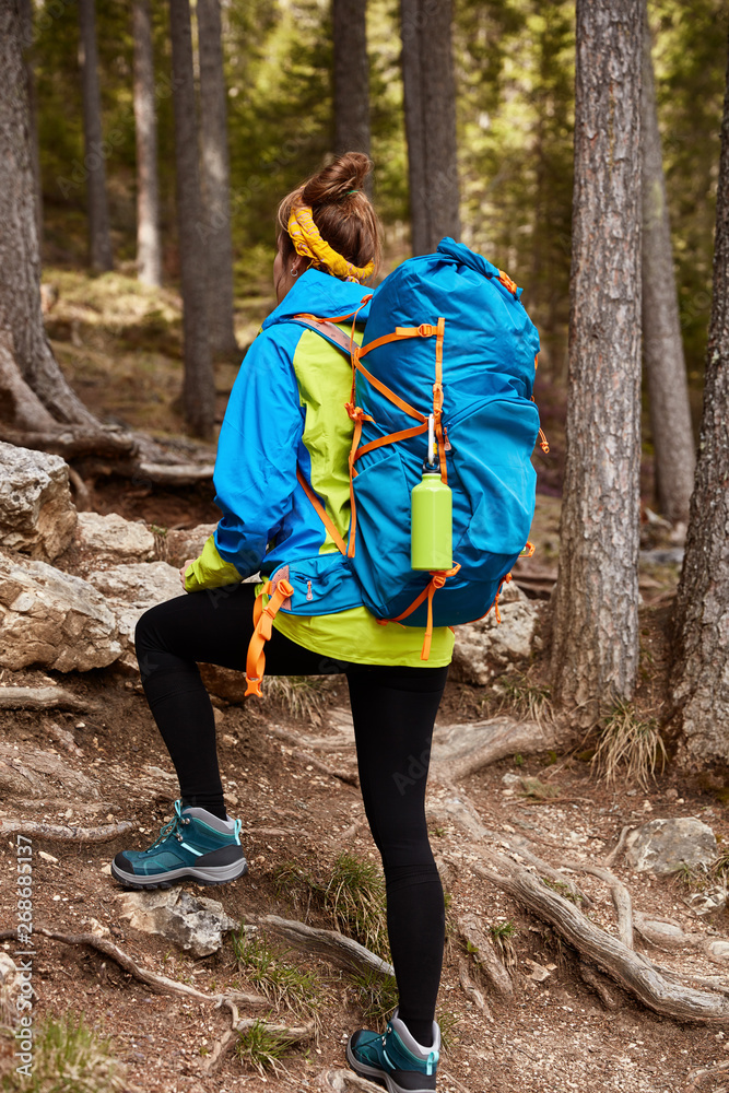 Outdoor view of active female hiker with backpack walks on forest trail, climbs up hill, stands through trees, wears anorak and comfortable shoes. Recreation, adventure in nature, hiking concept Outdoor view of active female hiker with backpack walks on forest trail, climbs up hill, stands through trees, wears anorak and comfortable shoes. Recreation, adventure in nature, hiking concept