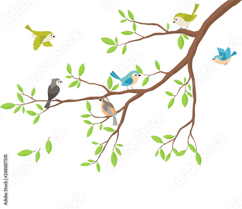Cute birds with tree branch