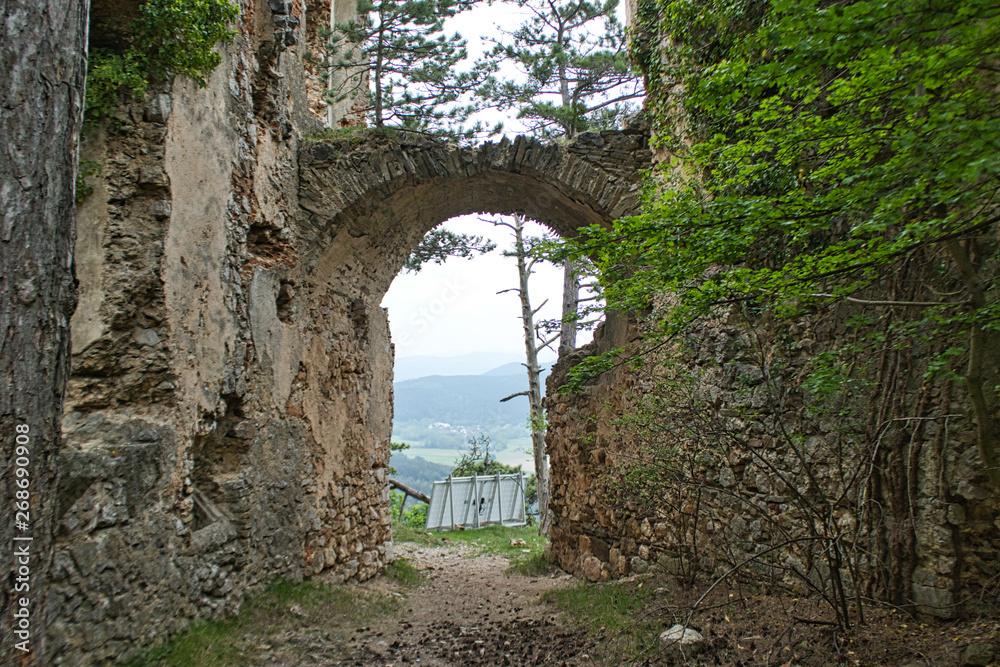 old entry to the castle ruin