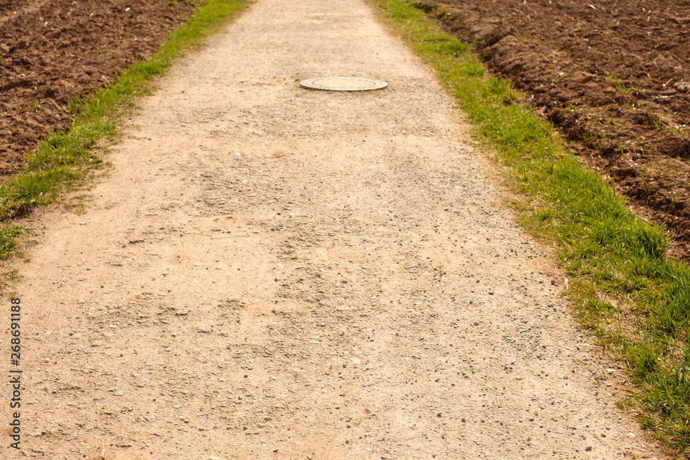 Obraz premium Feldweg
