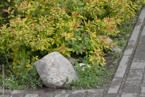 Gray stone on the sidewalk, surrounded by plants