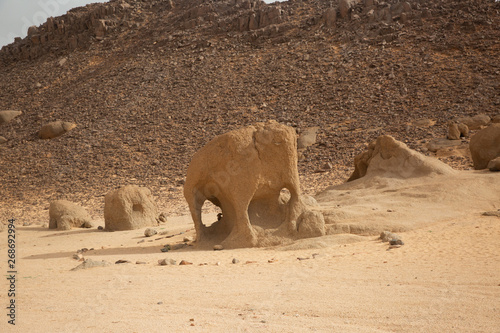 A sandstone looks like an elephant in Tassili N'Ajjer, Sahara, Algeria photo