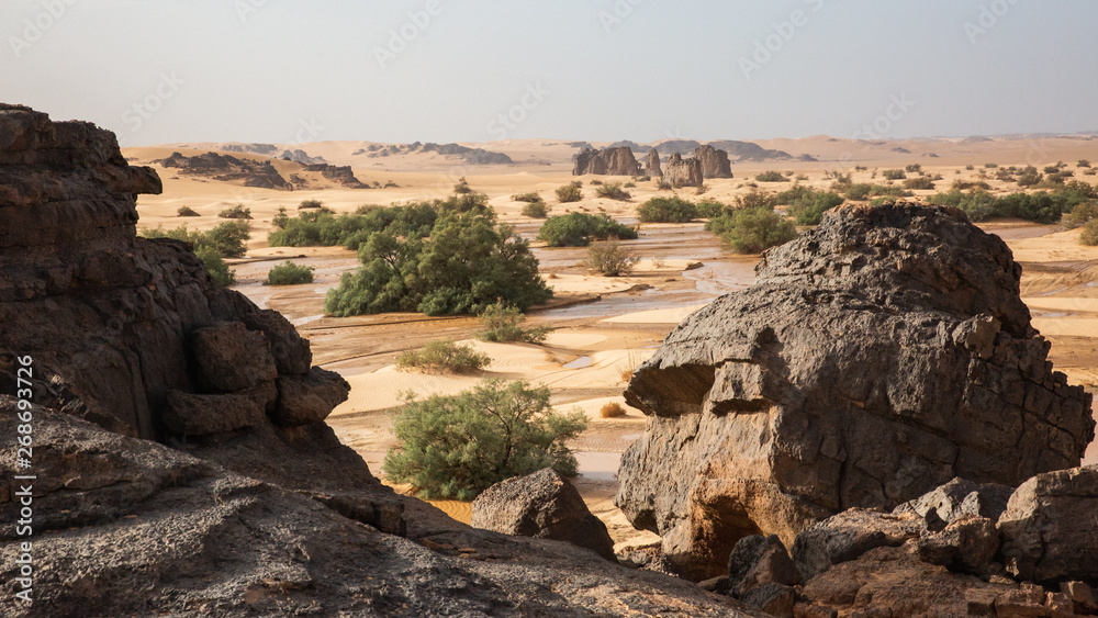 A river in Sahara Desert