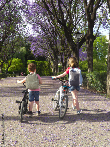 Children on bicycles on their way to the school