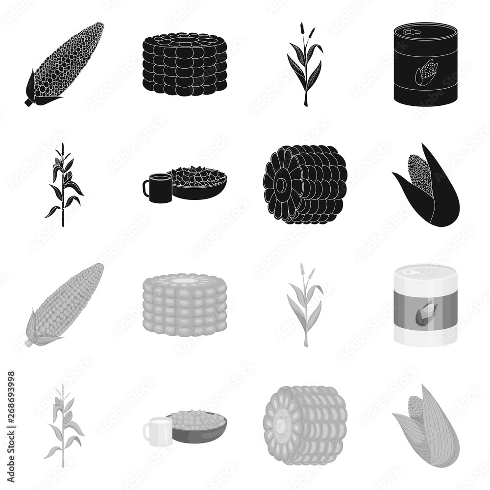 Isolated object of cornfield and vegetable logo. Collection of cornfield and vegetarian stock symbol for web.