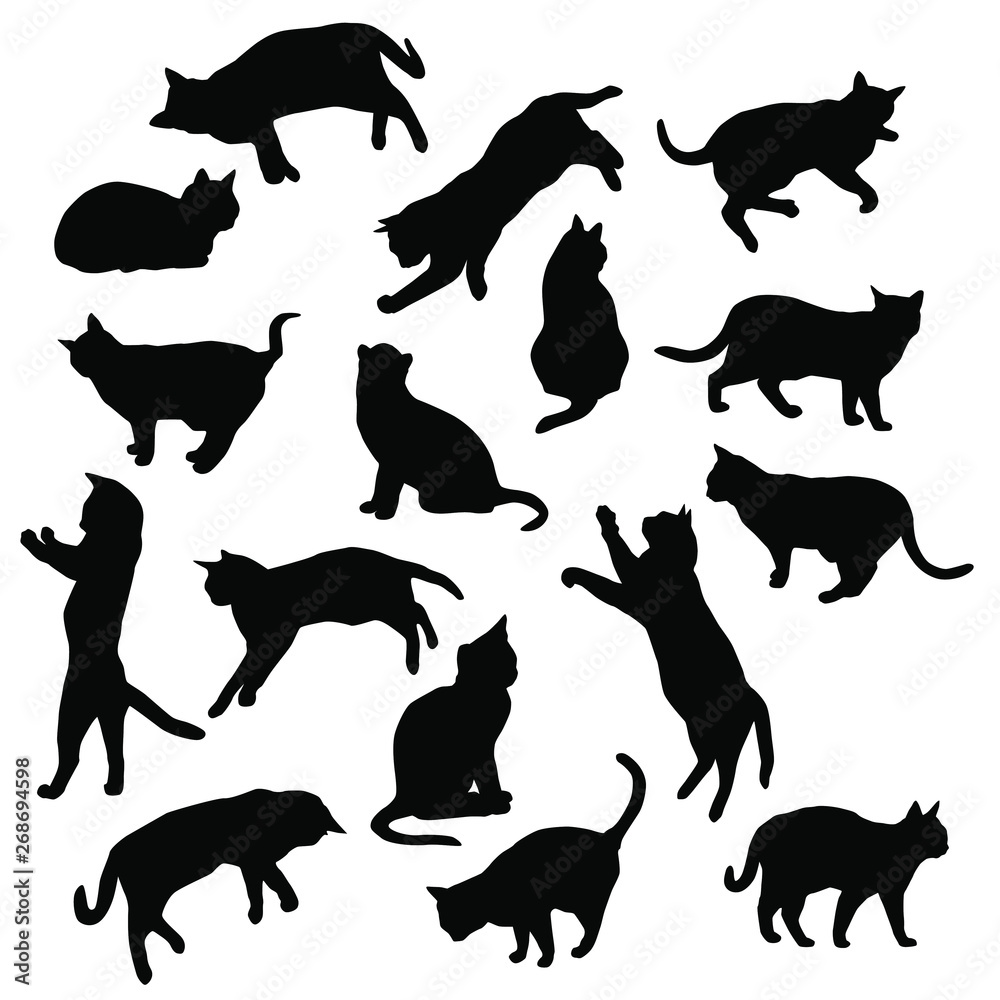 Set vector silhouettes of the cat, different poses, standing, jumping and sitting,  black color, isolated on white background