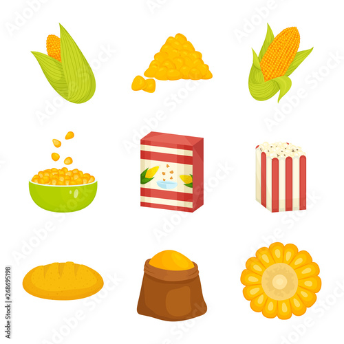 Vector design of maize and food logo. Collection of maize and crop stock vector illustration.