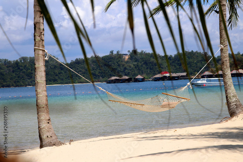 Fototapeta Naklejka Na Ścianę i Meble -  Two palm trees with a hammock on the beach - Gaya Island Malaysia Asia