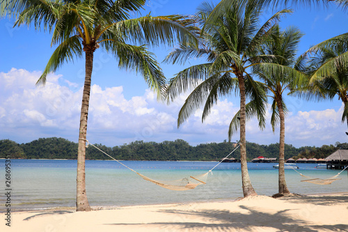 Two palm trees with a hammock on the beach - Gaya Island Malaysia Asia photo