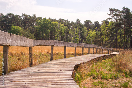 diersfordter wald