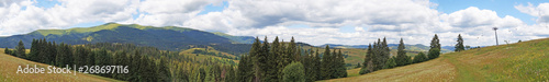 Panoramic view of the Carpathian mountains, green forests and flowering meadows on a sunny summer day