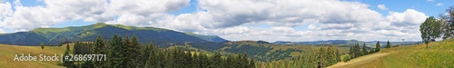 Panoramic view of the Carpathian mountains, green forests and flowering meadows on a sunny summer day © Vira