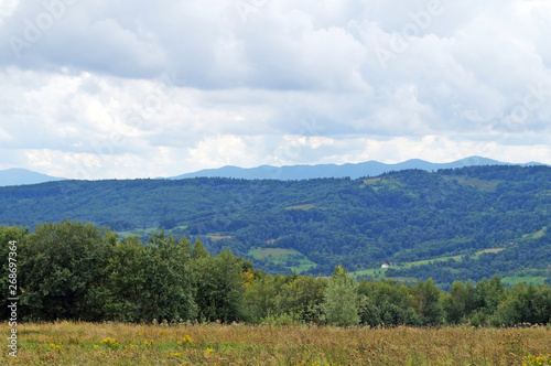 Panoramic view of the Carpathian mountains, green forests and flowering meadows on a sunny summer day