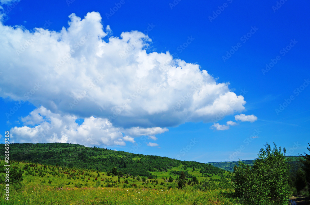 Panoramic view of the Carpathian mountains, green forests and flowering meadows on a sunny summer day Panoramic view of the Carpathian mountains, green forests and flowering meadows on a sunny summer day