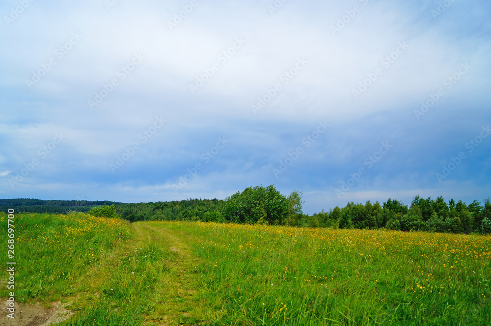 Panoramic view of the Carpathian mountains, green forests and flowering meadows on a sunny summer day