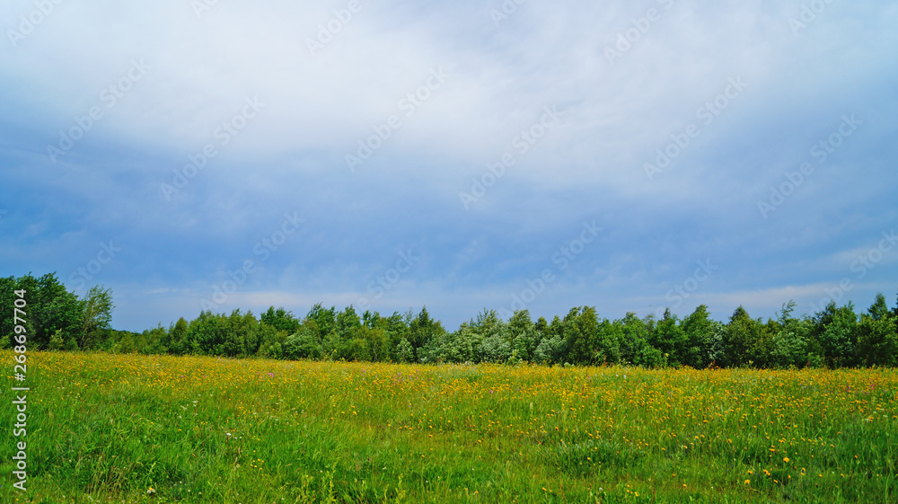 Panoramic view of the Carpathian mountains, green forests and flowering meadows on a sunny summer day Panoramic view of the Carpathian mountains, green forests and flowering meadows on a sunny summer day