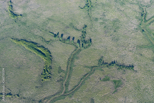 aerial image of wetlands near the Paraná River (Río Paraná) between Campana and Buenos Aires
