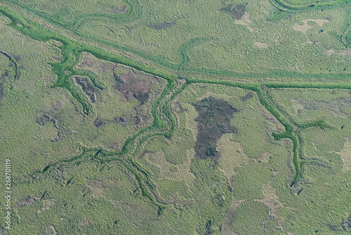 aerial image of wetlands near the Paraná River (Río Paraná) between Campana and Buenos Aires