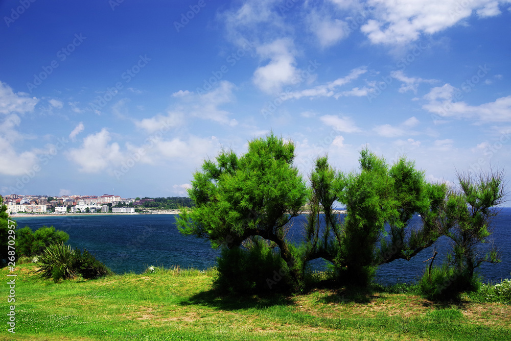 Summer landscape of the Cantabrian Coast in Santander, Spain, Europe Summer landscape of the Cantabrian Coast in Santander, Spain, Europe